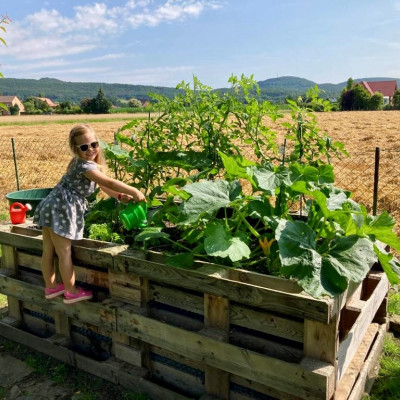 Unser Hochbeet