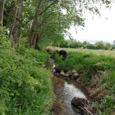 Twiesbach
